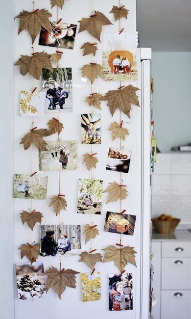 Colgar fotos con hojas de árbol