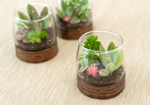 decoración con plantas de interior - vaso de cristal 1