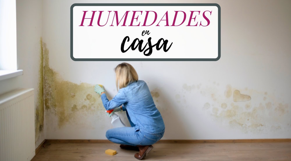 Humedades en casa-Descubre cómo trabaja Humetek en Madrid